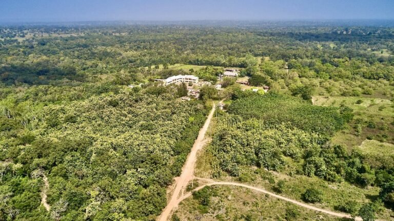 Monastère Notre-Dame de Kokoubou -Parakou IMG 20250326 WA0005 768x431