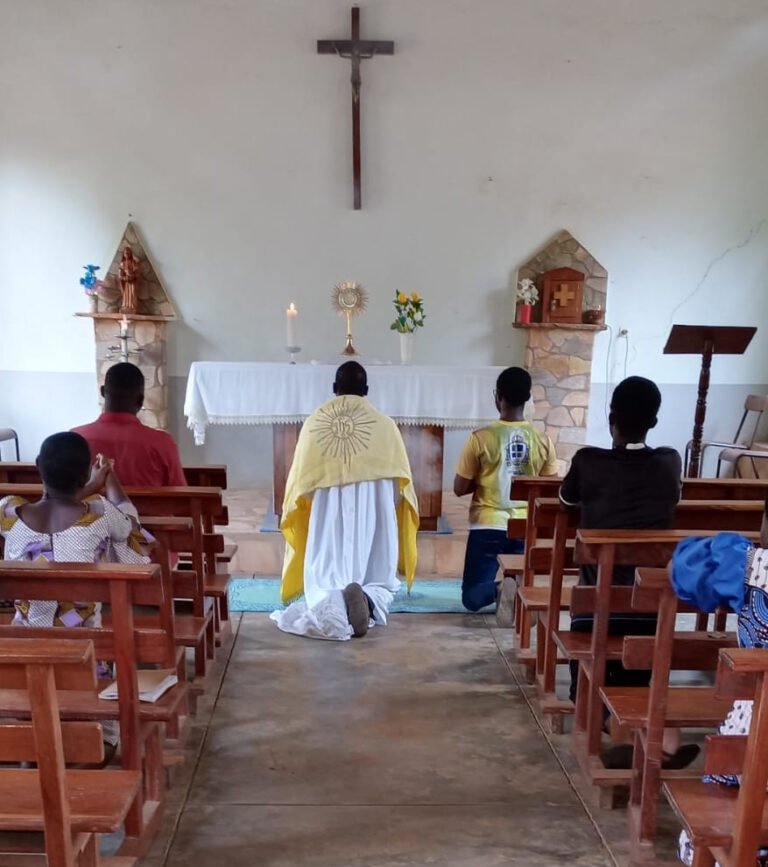 Sanctuaire Notre-Dame de l’Atacora – Natitingou 292008206 5272791639456654 1189205317786141988 n 768x867