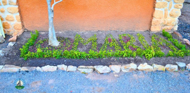 Sanctuaire bembereke 5 768x378