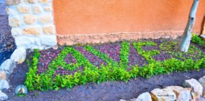 Sanctuaire bembereke 6 300x148